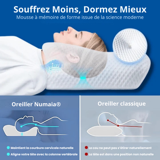 Oreiller Numaia 2.0